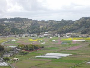 水之上の田園風景