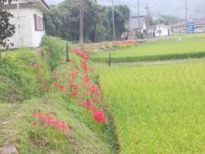 故郷垂水の風景水之上新御堂辺り